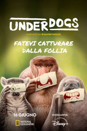 Underdogs streaming ita