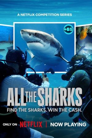 All the Sharks - In cerca di squali streaming ita