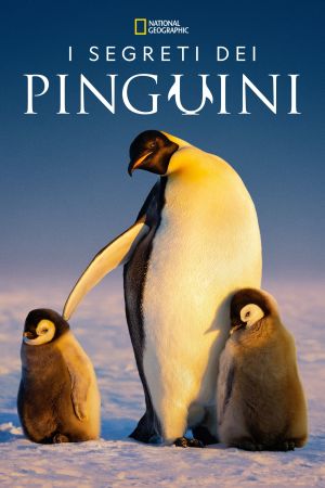 I segreti dei pinguini streaming ita