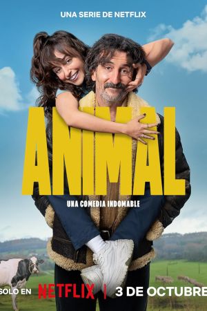 Animal streaming ita