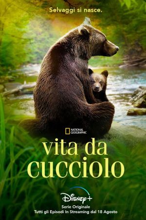 Vita da cucciolo streaming ita